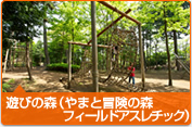 やまとナビ－NAVI－神奈川県大和市のスポーツ・よか・みどり情報サイト