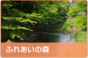 やまとナビ－NAVI－神奈川県大和市のスポーツ・よか・みどり情報サイト