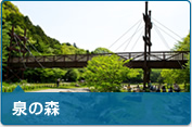 やまとナビ－NAVI－神奈川県大和市のスポーツ・よか・みどり情報サイト