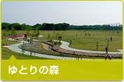 やまとナビ－NAVI－神奈川県大和市のスポーツ・よか・みどり情報サイト