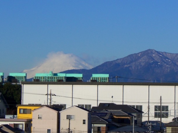 引地台公園の絶景ポイント（平成22年1月撮影）