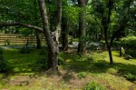 多胡記念公園