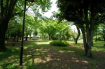 多胡記念公園