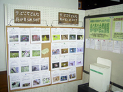 自然情報コーナー