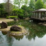 ふれあいの池