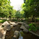 ふるさと川