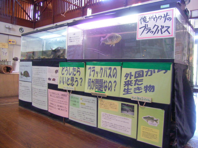 生き物展示