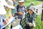 泉の森観察会②