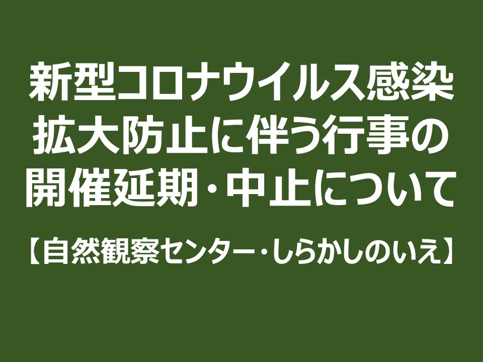 グリーン デイ 延期