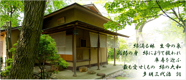 慈緑庵 多胡記念公園-慈緑庵