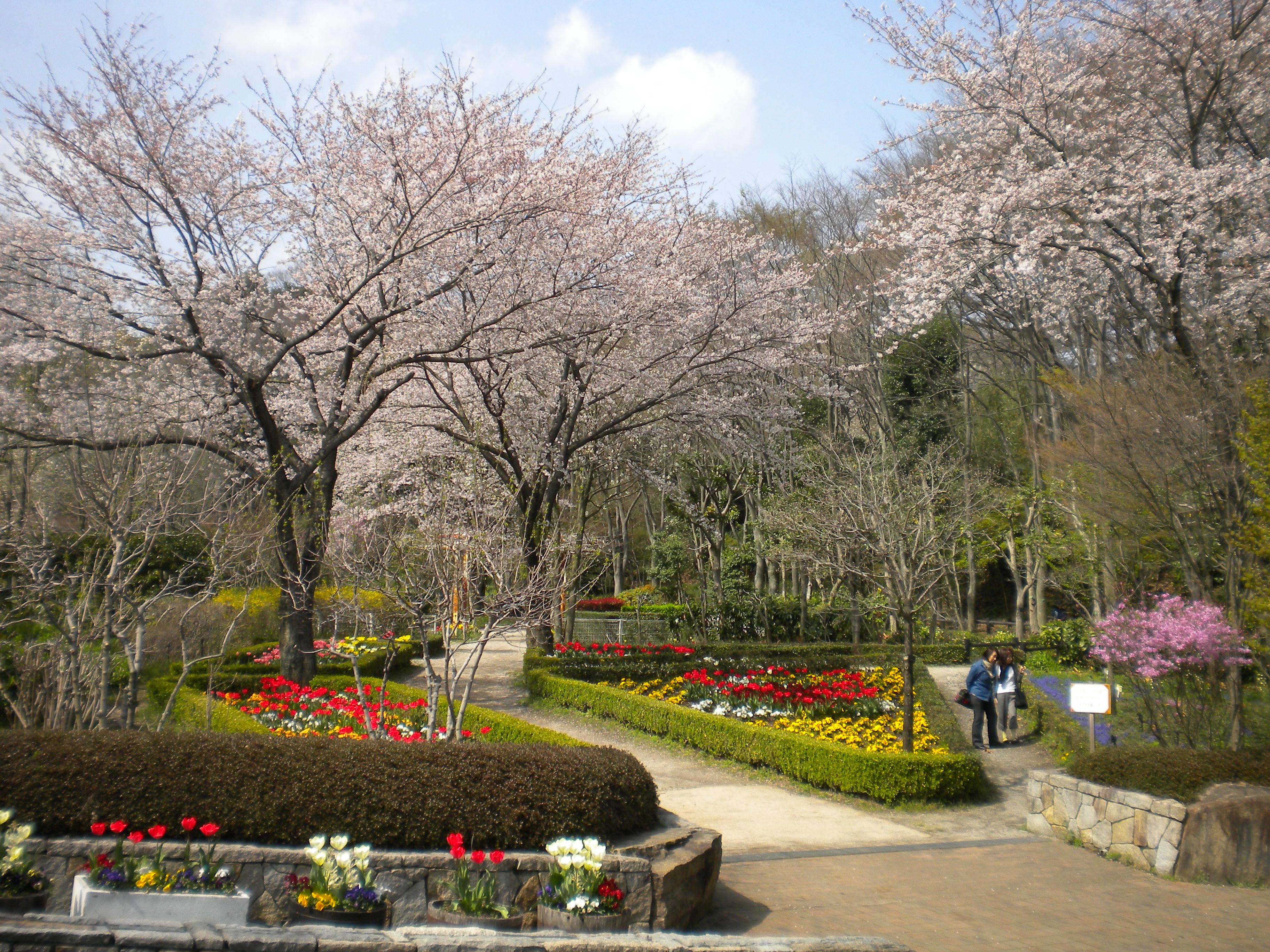 緑の見本園