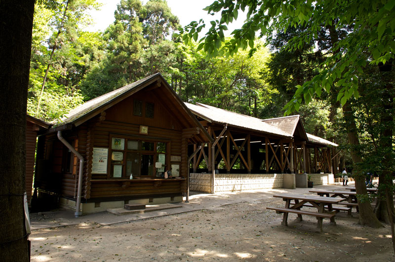 ふれあいキャンプ場