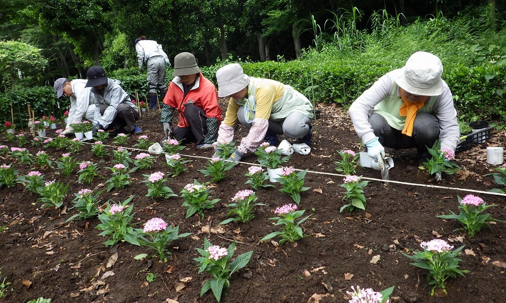 18 05 31ボラさんが見本園の花壇植栽 ふれあいの森 やまとナビ Navi 神奈川県大和市のスポーツ よか みどり情報サイト