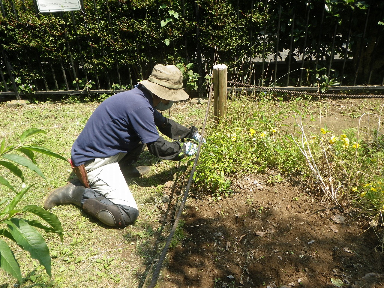 花壇の植替えを行いました 多胡記念公園 やまとナビ Navi 神奈川県大和市のスポーツ よか みどり情報サイト