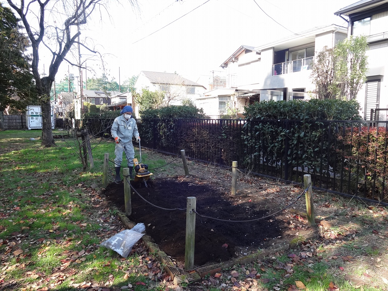 11 22 花壇の植え替えを行いました やまとナビ Navi 神奈川県大和市のスポーツ よか みどり情報サイト