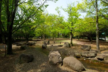 hikichidai_6605