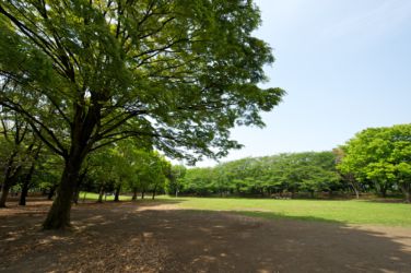 hikichidai_6629