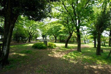 多胡記念公園　園内