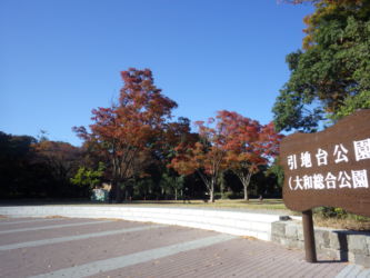RIMG8838