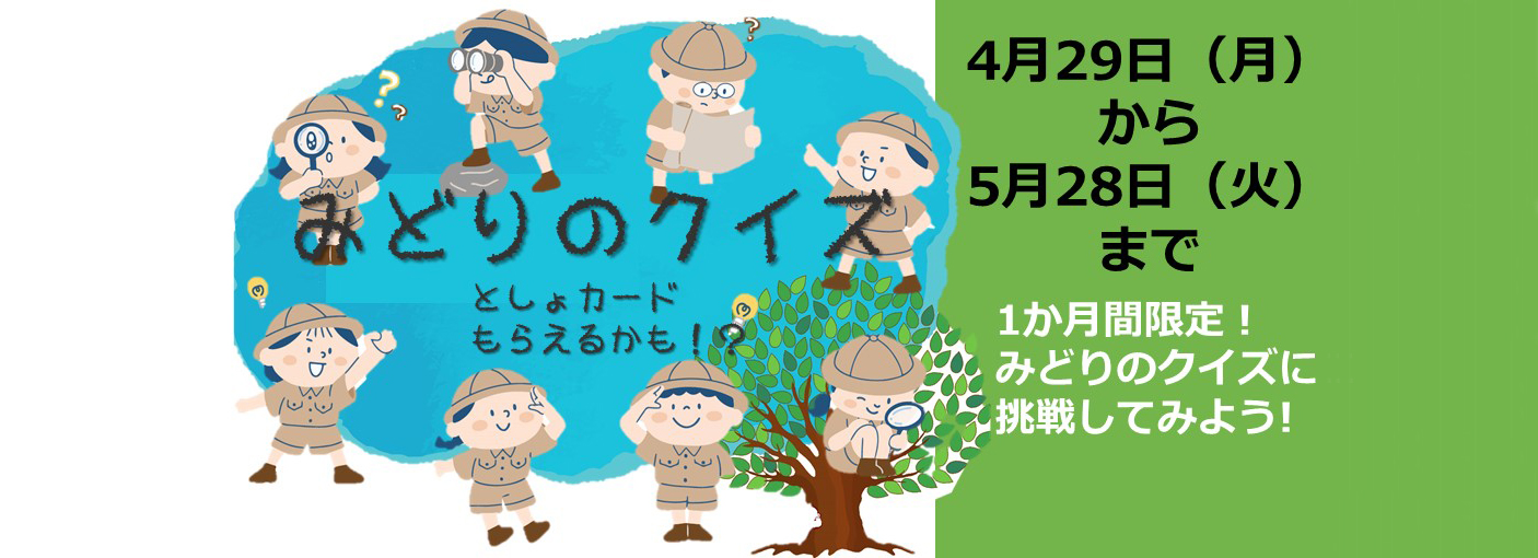 ビーズのれん　みどり　黄緑 ビーズのれん みどり 黄緑